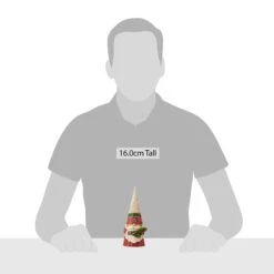 Enesco Gift Christmas Gnome Holding Holly(Christmas Gnome Holding Holly) 6 Enesco Gift Christmas Gnome Holding Holly(Christmas Gnome Holding Holly) -Enesco Gift 6009180 20