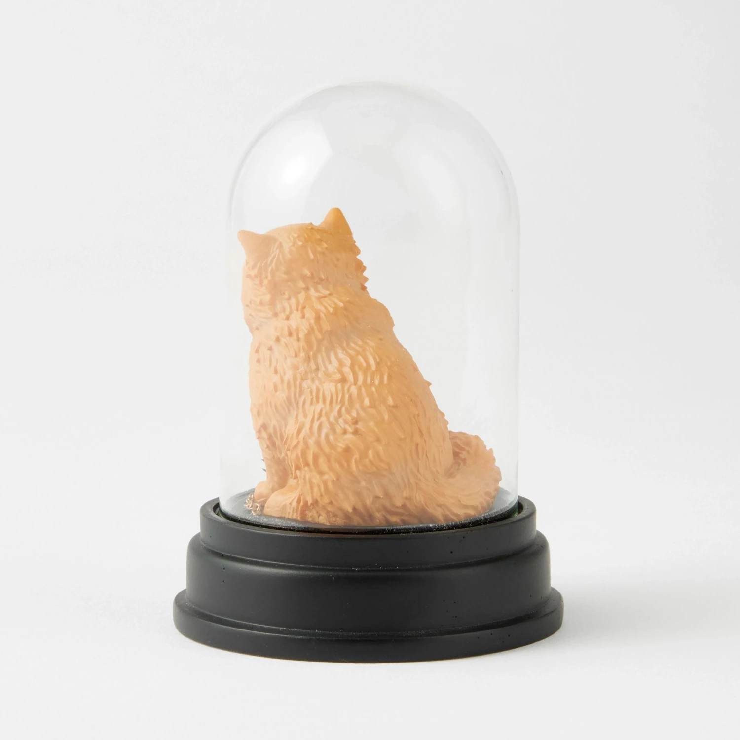 Enesco Gift WZDWLD Crookshanks Cloche(Wzdwld Crookshanks Cloche) 6 Enesco Gift WZDWLD Crookshanks Cloche(Wzdwld Crookshanks Cloche) - Image 6