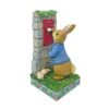 Enesco Gift Peter Rabbit Mailing Letters(Peter Rabbit Mailing Letters)