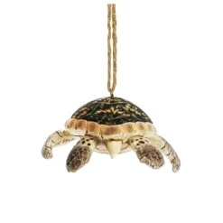 Enesco Gift Hawksbill Sea Turtle Ornament(Hawksbill Sea Turtle Ornament) 9 Enesco Gift Hawksbill Sea Turtle Ornament(Hawksbill Sea Turtle Ornament) -Enesco Gift 6012813 3