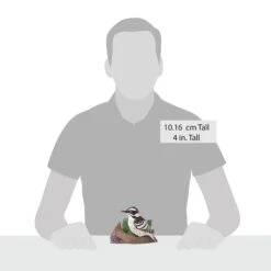 Enesco Gift Downy Woodpecker Figurine(Downy Woodpecker Figurine) 9 Enesco Gift Downy Woodpecker Figurine(Downy Woodpecker Figurine) -Enesco Gift 6014416 20