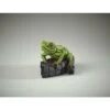 Enesco Gift Tree Frog Figure(Tree Frog Figure)