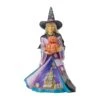 Enesco Gift Witch Holding Pumpkins LED Fig(Witch Holding Pumpkins Led Fig)